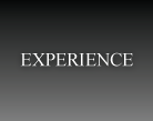 Experience